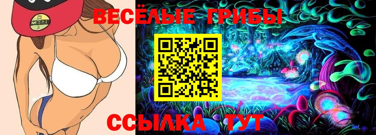 Клин  как найти наркотики  Вход с VPN  Галлюциногенные грибы GOLDEN TEACHER 
