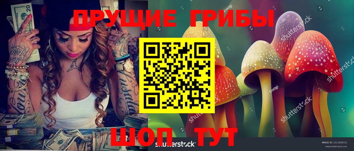 Псилоцибиновые грибы Psilocybine cubensis  Клин  Псилоцибиновые грибы ЛСД 